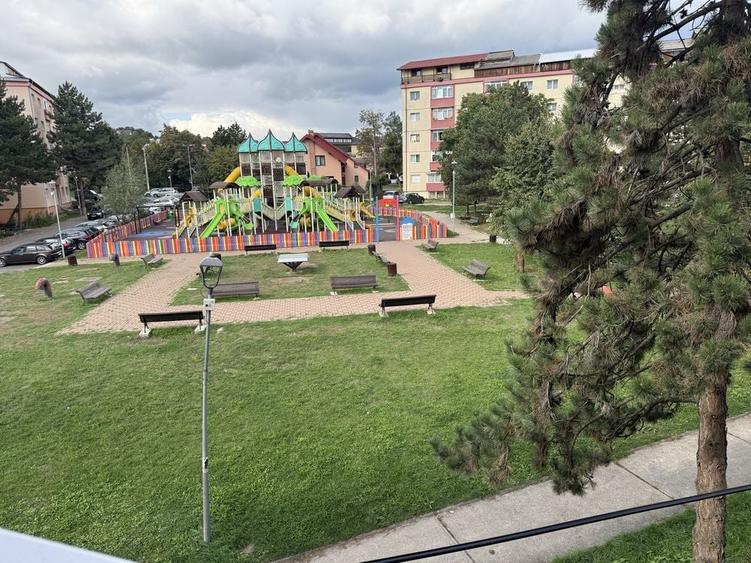 Apartament cu 2 camere în Paltin