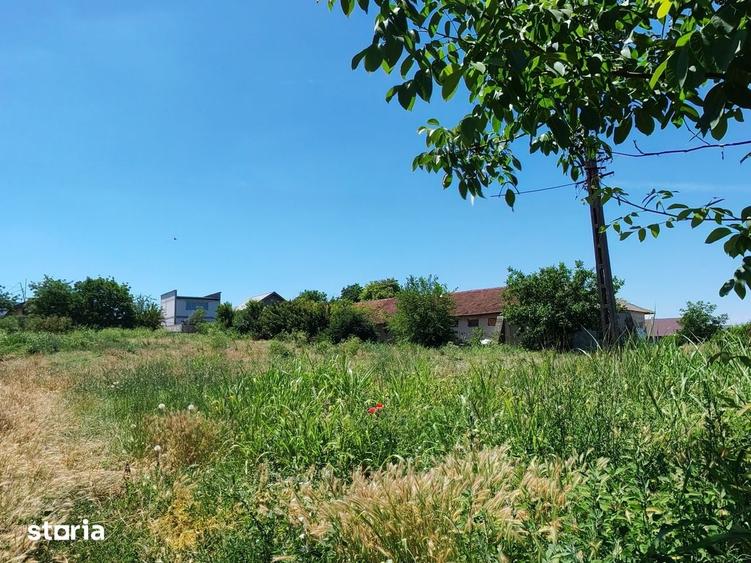 Comision0%-AlmanImobiliare-Oportunitate-TerenIntravilan-ValuLuiTraian - 11
