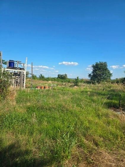 Teren Construcții intravilan de 3300 mp, în Bogata