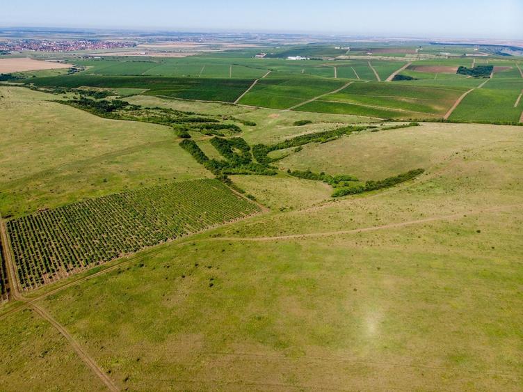 Teren agricol extravilan de 12840000 mp, în Periferie