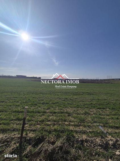 NECTORA IMOB-Teren Intravilan 537 mp, Zona Solay, 250 m de asfalt - 3