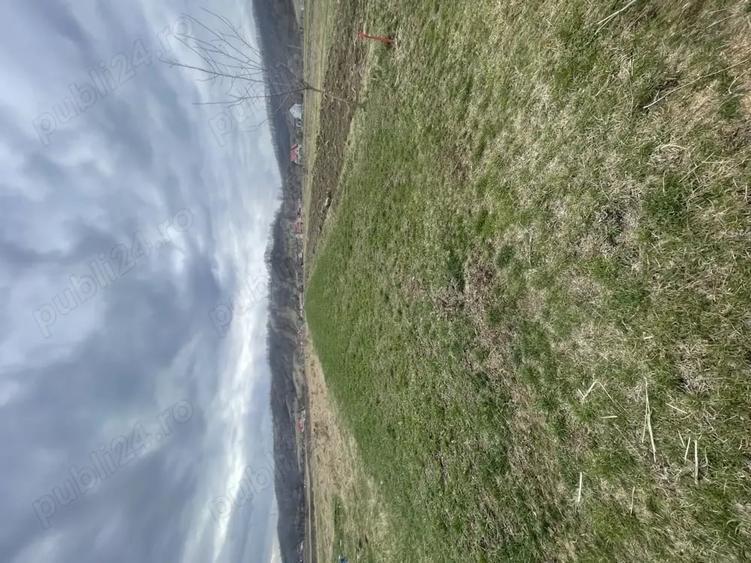 Teren de 3145 mp, în Mănăstirea Cașin