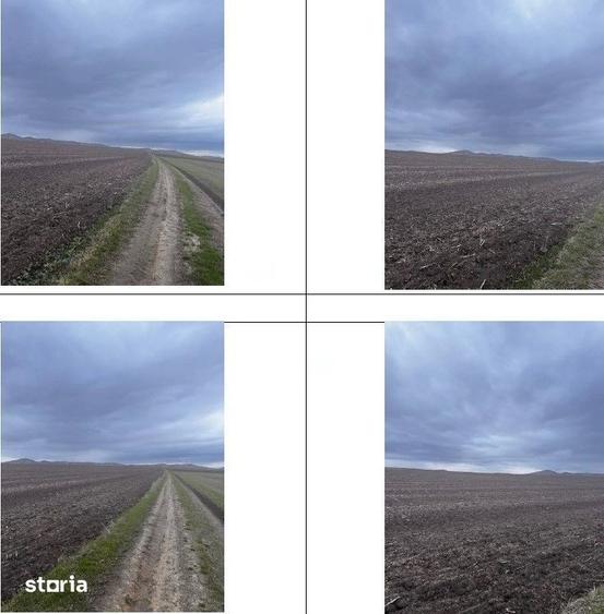 Teren de 15000 mp, în Nalbant