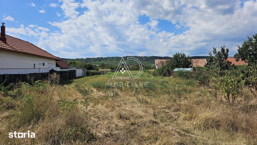 Teren de 3863 mp, în Turcinești