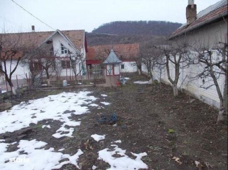 Zona Viisoara - Casa P - 81mp + Teren- 941 mp, Bistrita - 2