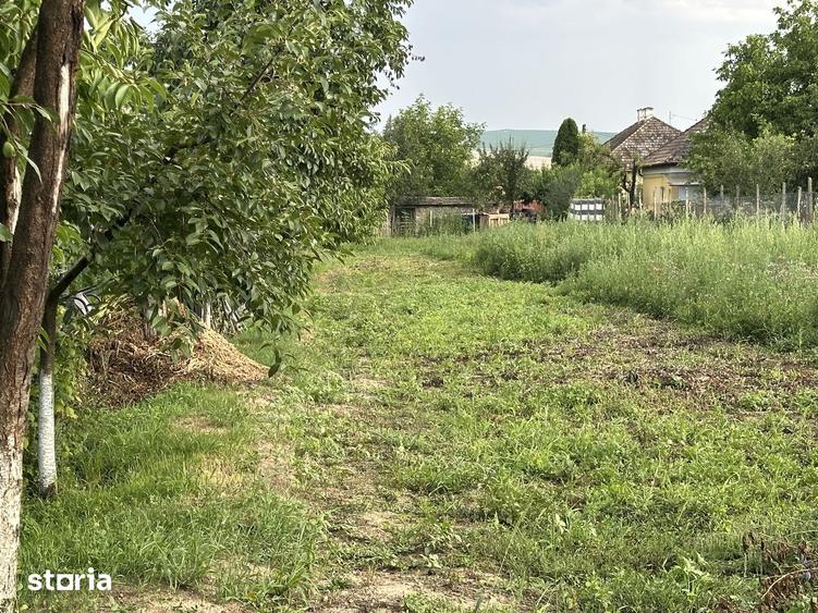 Casă cu 3 camere cu Teren 2200 Mp în Târnăveni