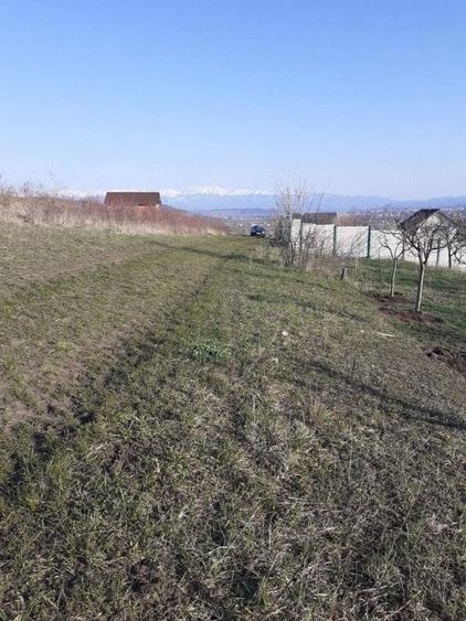 Teren de 550 mp, în Șura Mare
