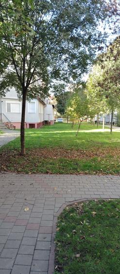 Apartament cu 3 camere semidecomandat în Carei