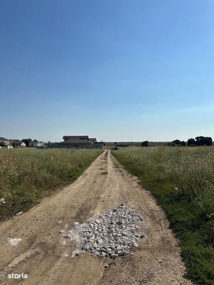 Teren de Vanzare, Comuna Berceni, Judetul Ilfov, Strada Gradinari - 4