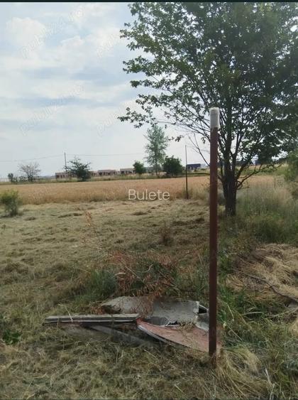 380mp Teren Domne?ti Ilfov
