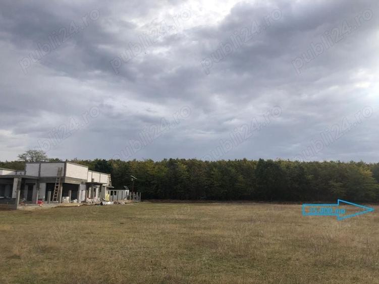 Teren 11.500 mp Cosoveni-padure-la 10 min de Ford-Selgros si Aeroportul Craiova - 1