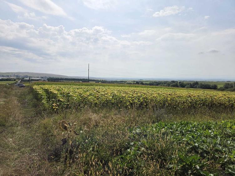 Teren de 2500 mp, în Șcheia