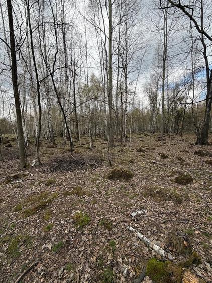 Teren de 15000 mp, în Izvoru