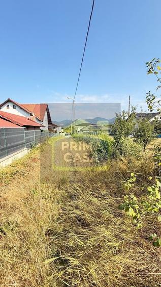 Casă individuală cu 3 camere cu Teren 1678 Mp în Est