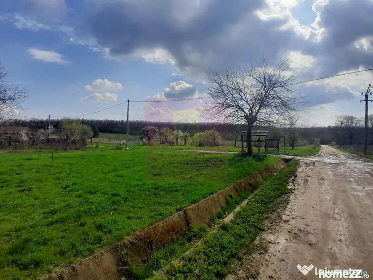 Teren în Buturugeni