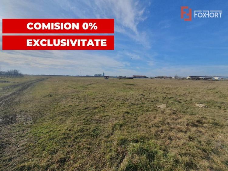 COMISION 0% Teren intravilan 6400 mp la drum asfaltat - Padu - 10