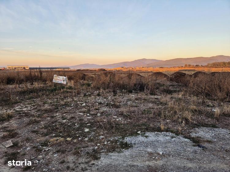 Teren de 1450 mp, în Tărlungeni