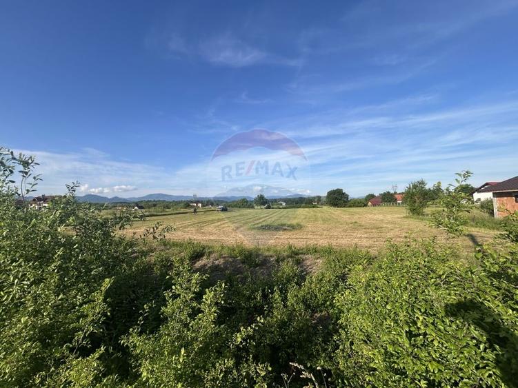Teren Construcții intravilan de 6200 mp, în Coltău