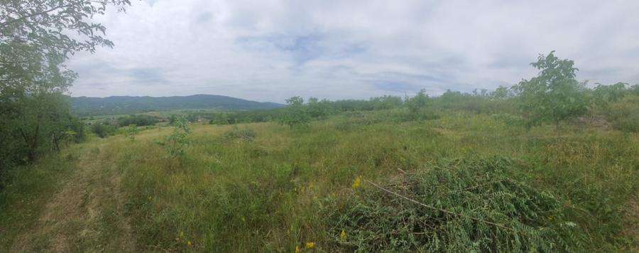 Teren agricol extravilan de 11300 mp, în Pârscov