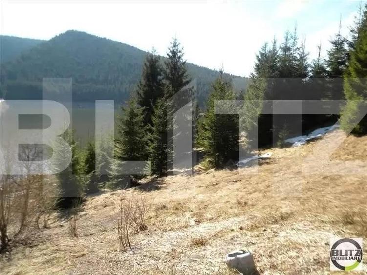 Teren Construcții intravilan de 3000 mp, în Exterior Vest