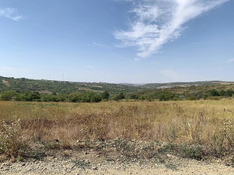 Teren de 1227 mp, în Săldăbagiu de Munte