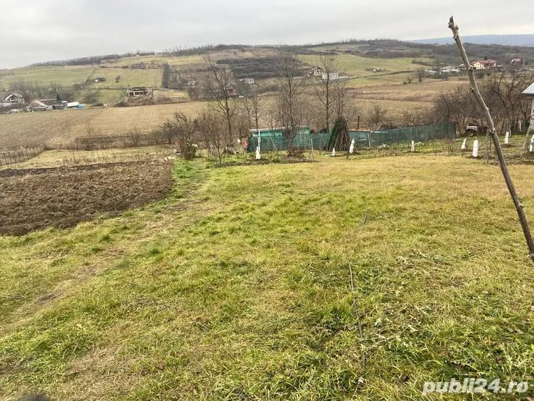 Teren de 4750 mp, în Chicerea