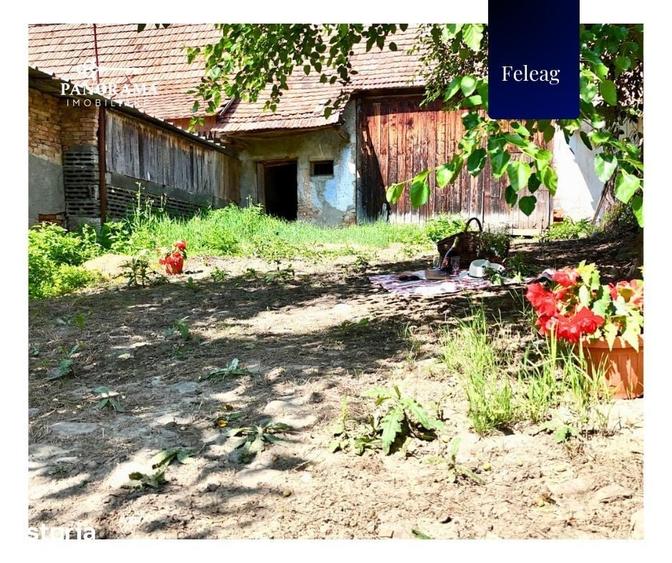 Casă cu 3 camere cu Teren 1590 Mp în Vânători