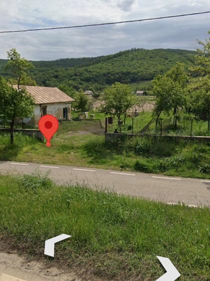 Teren Construcții intravilan de 4306 mp, în Ciucurova