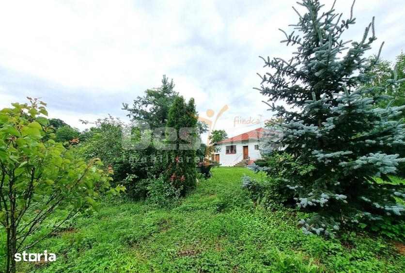 Casă cu 3 camere decomandat cu Teren 4000 Mp în Drajna