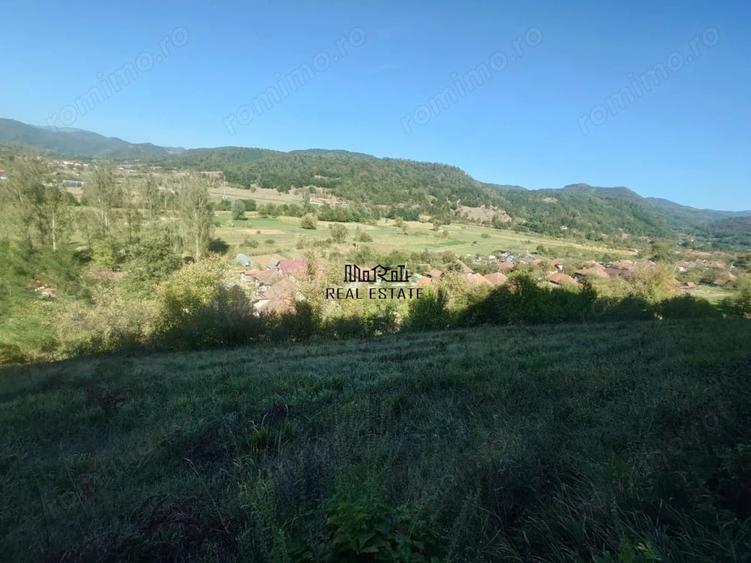 Teren de 56031 mp, în Criș