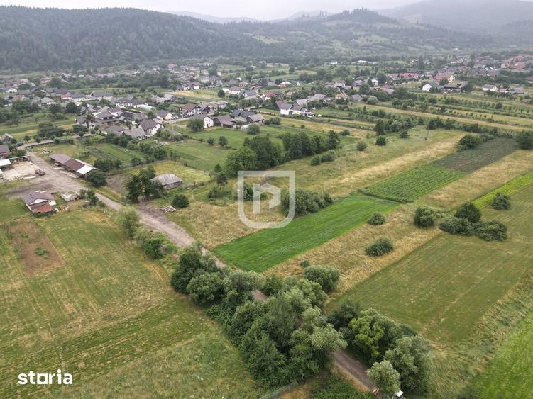 Teren de 3600 mp, în Brusturi
