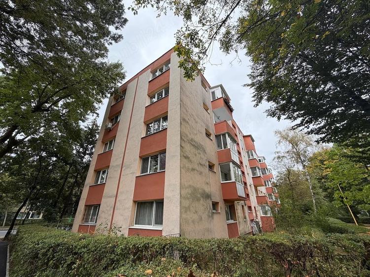 Apartament cu 2 camere, etaj 3, renovat recent, Astra - 10