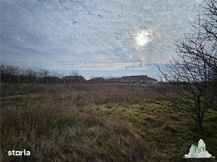 Teren de 28000 mp, în Hârșova