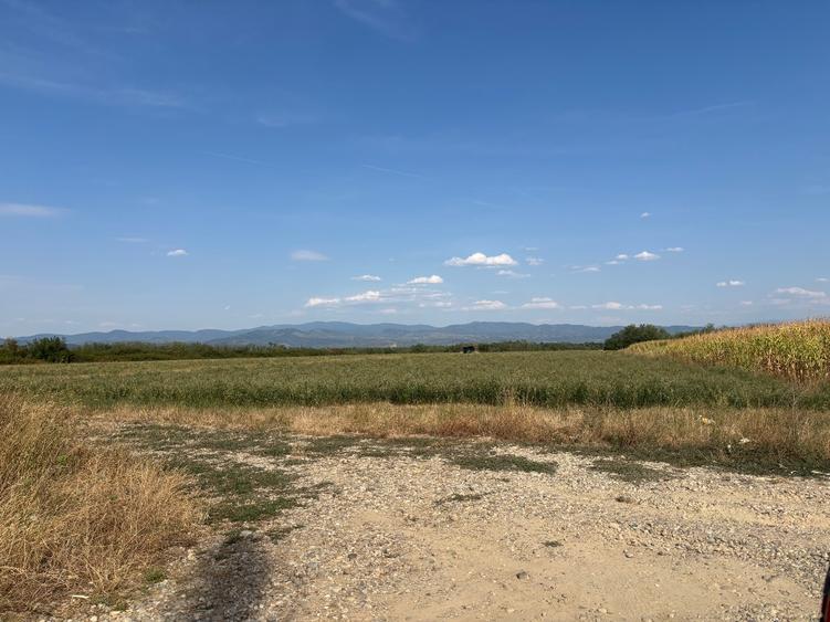 Teren Construcții extravilan de 10000 mp, în Știuca