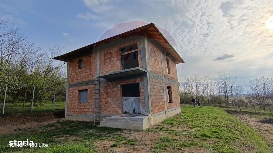 Spațiu comercial, în Păulești