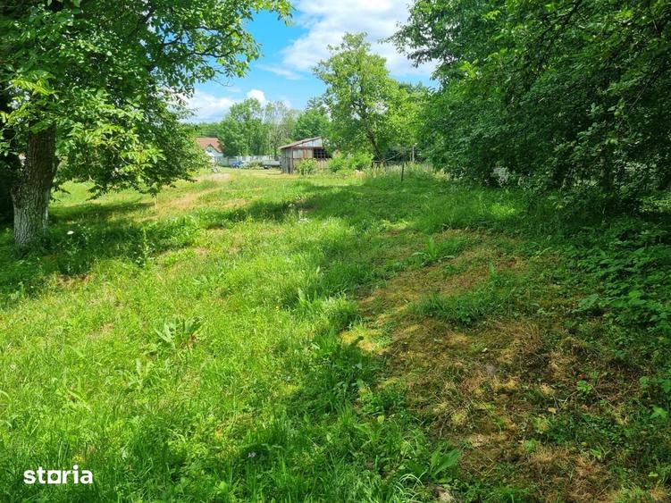 Casă cu 2 camere cu Teren 5655 Mp în Hobița