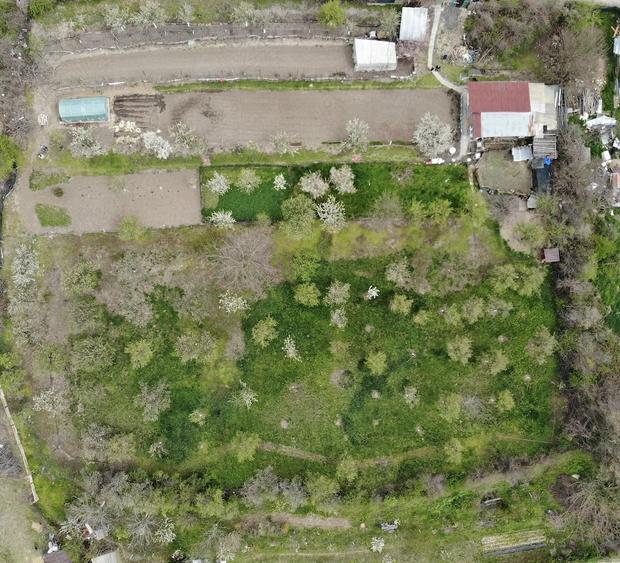 Teren de 5300 mp, în Mehadia