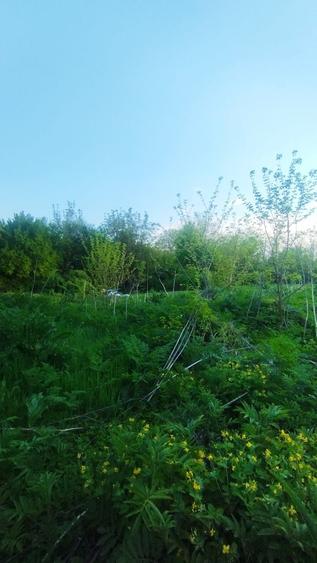 Teren Construcții intravilan de 6300 mp, în Tunari