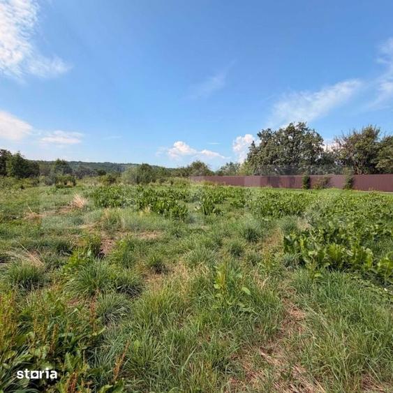 Teren de 3600 mp, în Central