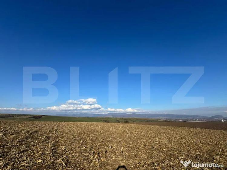 Teren extravilan agricol 5700 mp, Cristur - 1