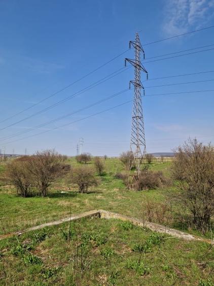 Teren agricol extravilan de 79106 mp, în Exterior Est