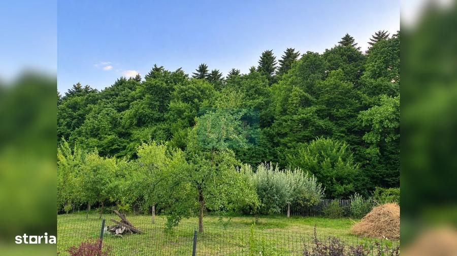 Casa P+M cu teren de 1.000 mp, situata la marginea padurii - 7