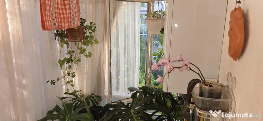 Apartament cu 3 camere decomandat în Rovine