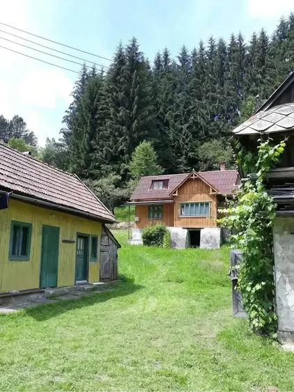 De Vanzare Cabana Rachitele Cluj! - 1