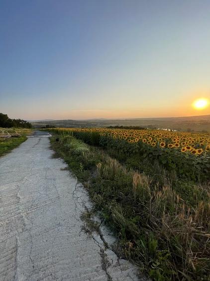Teren intravilan ,Barnova ,Iasi, 834 mp, priveliste panoramica deosebita,langa padure! - 2