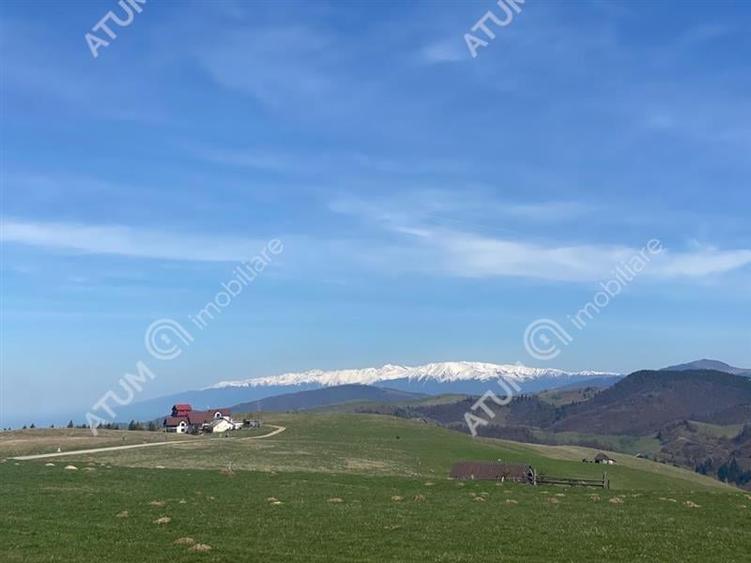 Teren Construcții intravilan de 3000 mp, în Păltiniș