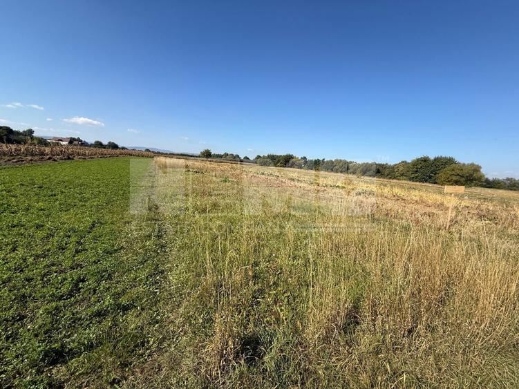 Teren Construcții intravilan de 2200 mp, în Volovăț