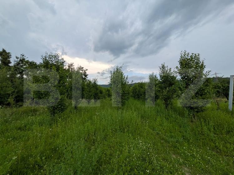 Teren Construcții intravilan de 4500 mp, în Voinești