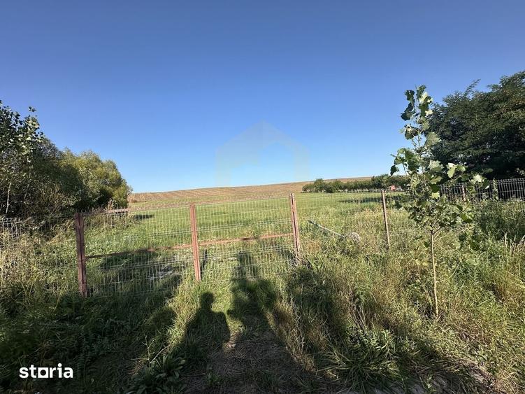 Vanzare teren 2936 mp, zona strada Dealu Fanatelor - 6