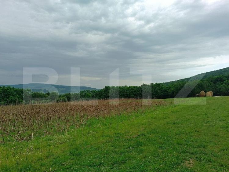 Teren agricol extravilan de 5075 mp, în Vest